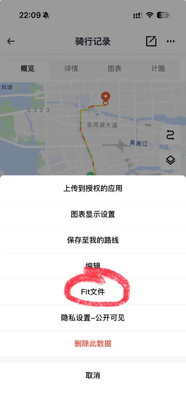顽鹿运动操作菜单，红圈标出 Fit文件 选项